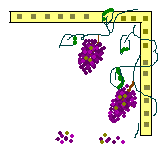 Grape Border